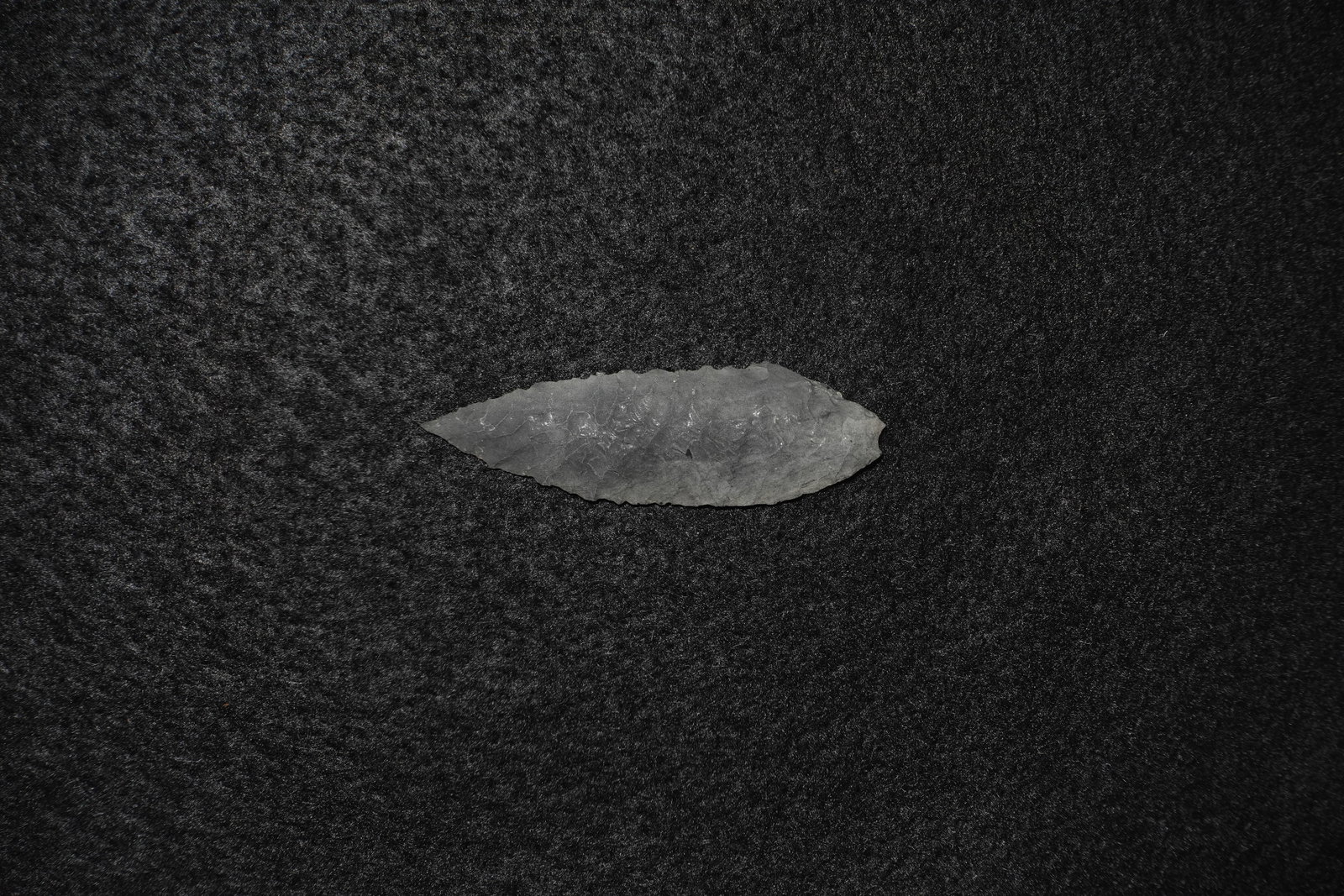 Early Leaf Blade: Leaf-shaped flaked stone blade crafted from dark gray chert/flint with pronounced bifacial pressure flaking across both faces. Fine edge retouch produces a serrated margin and a sharply tapered