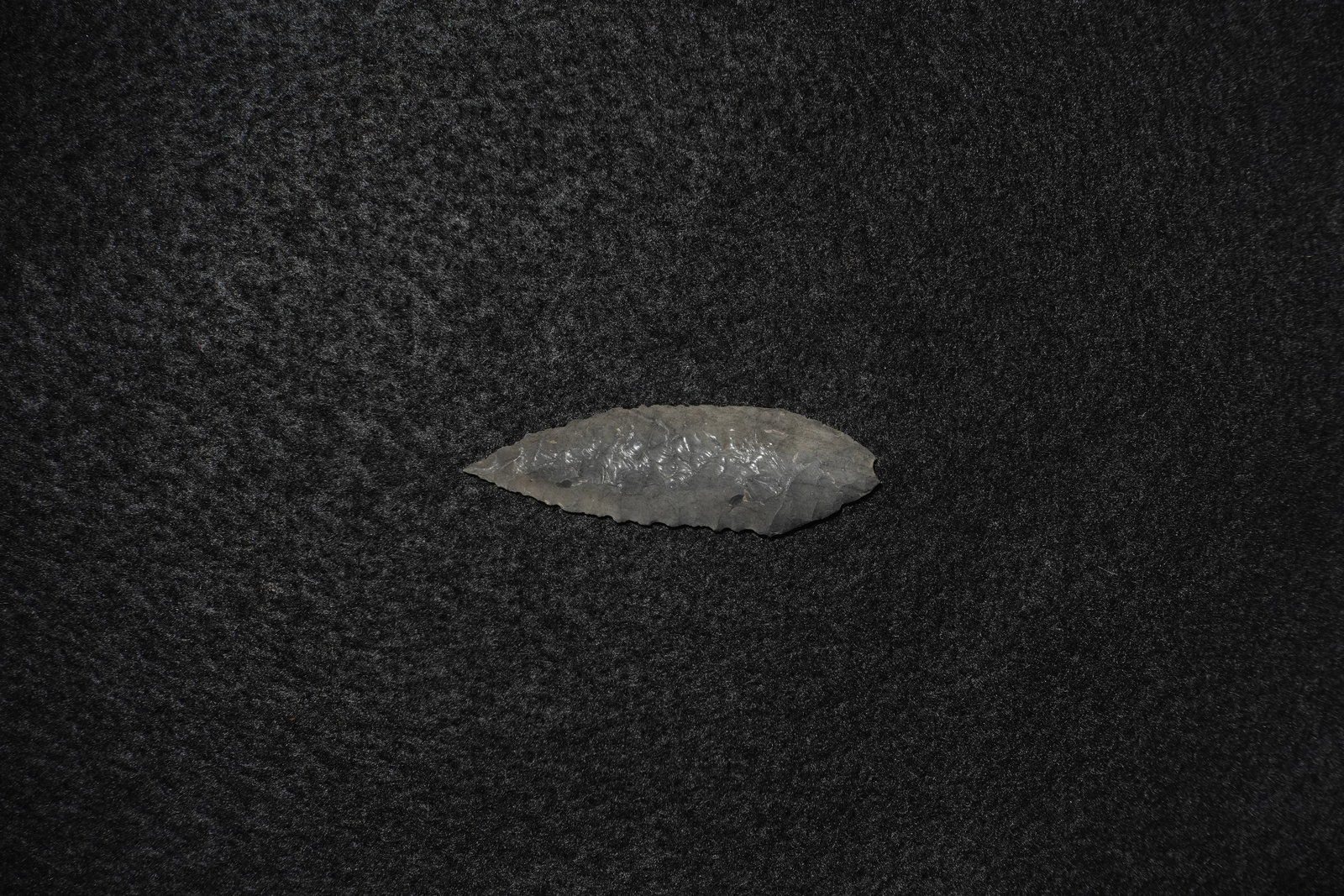 Early Leaf Blade - 2
