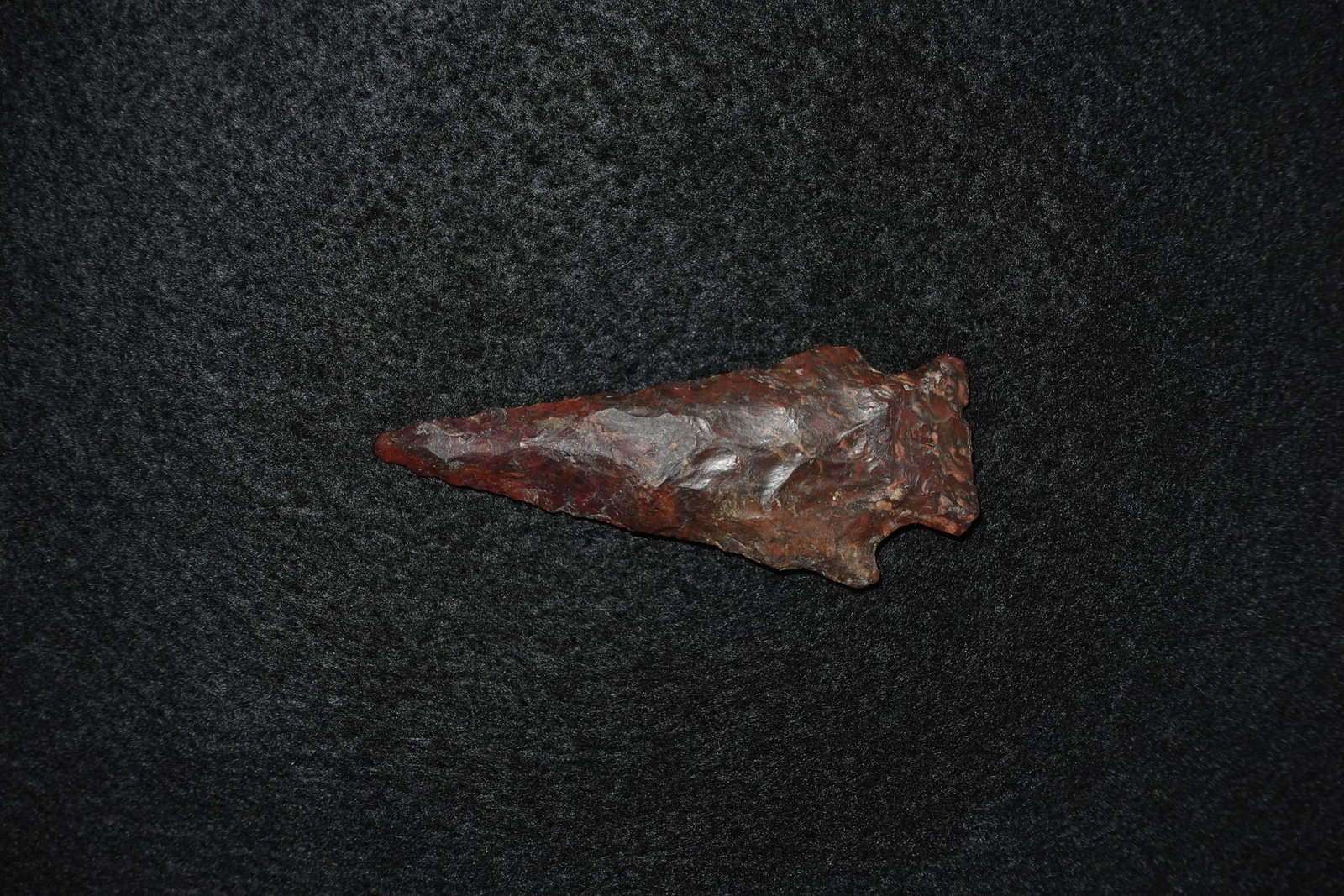 Petrified Wood Stemmed Point (1 of 2)
