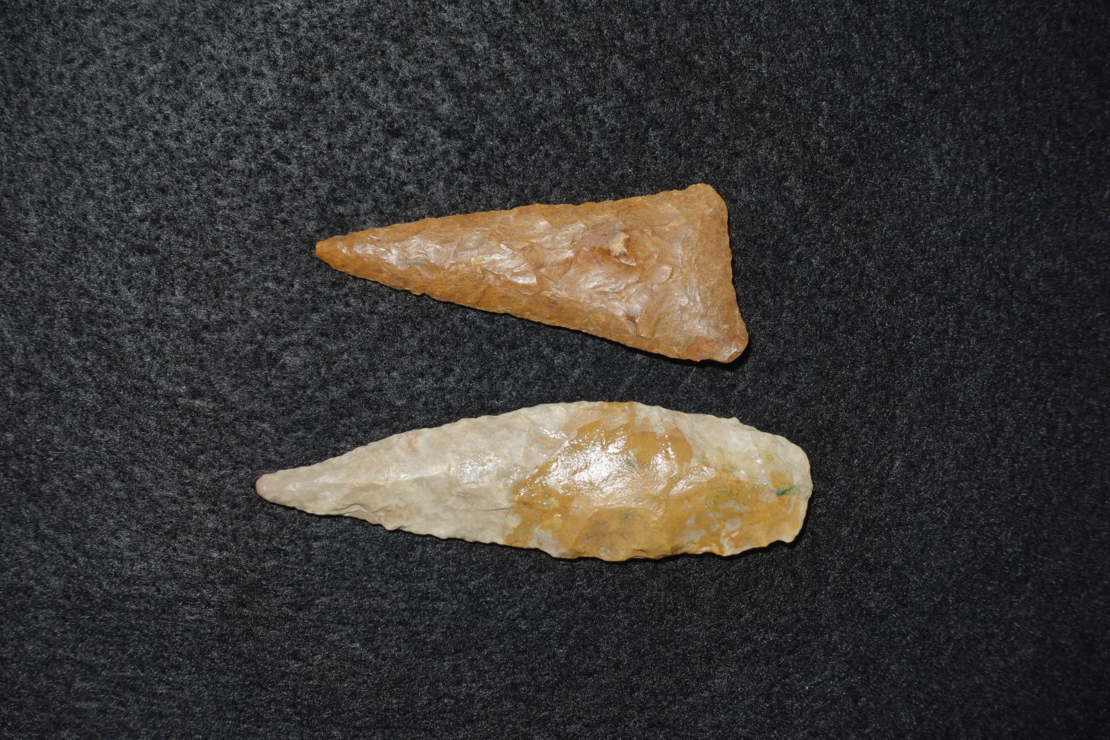 2 Petrified Wood Blades - 2