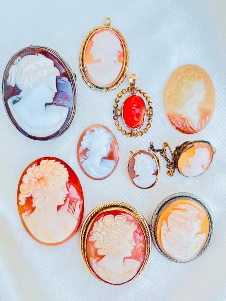 Mixed Lot of 10 x Cameo Pieces: Mixed Lot of 10 x Cameo Pieces wonderful mixed lot! 