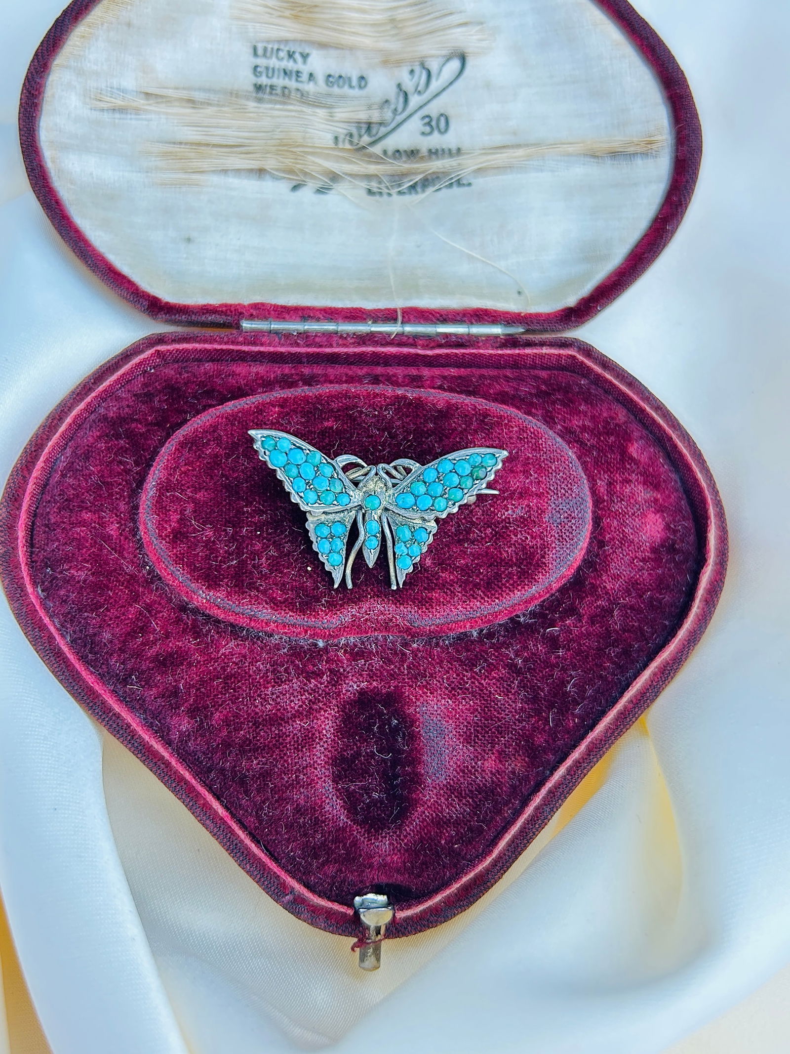 Turquoise Butterfly Brooch - 5