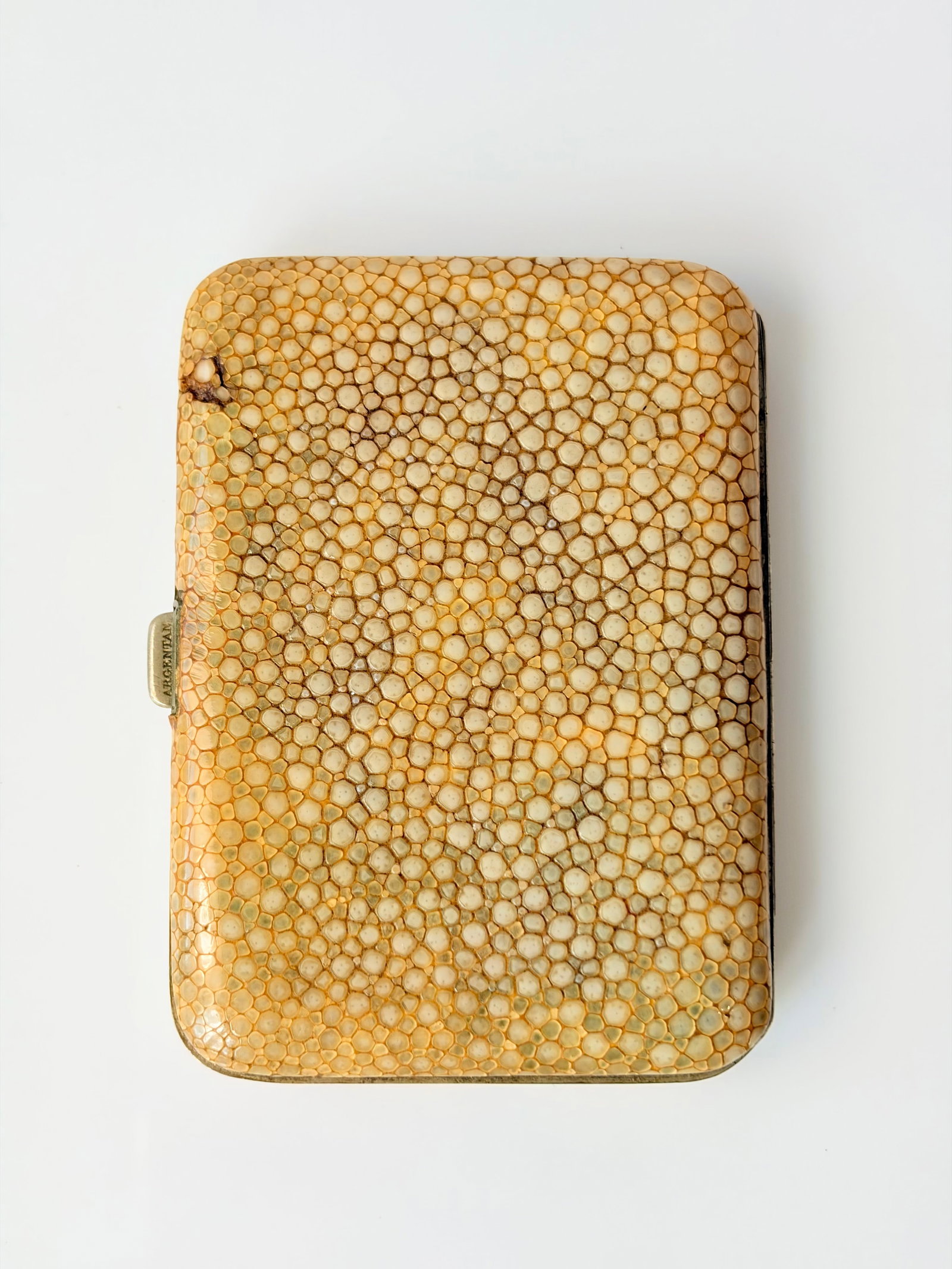 SHAGREEN CIGARETTE CASE - 2