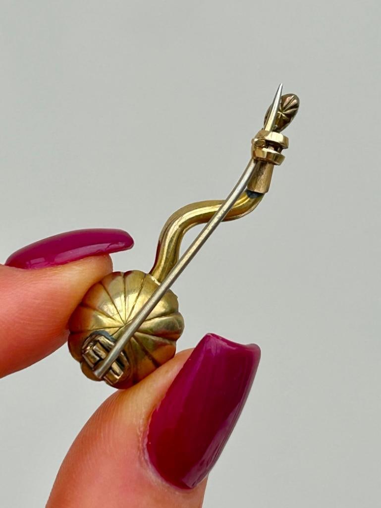 Georgian Flat Cut Garnet and Pearl Haley’s Comet Gold Brooch - 4