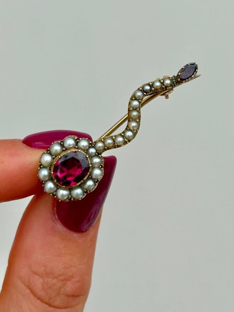 Georgian Flat Cut Garnet and Pearl Haley’s Comet Gold Brooch - 5