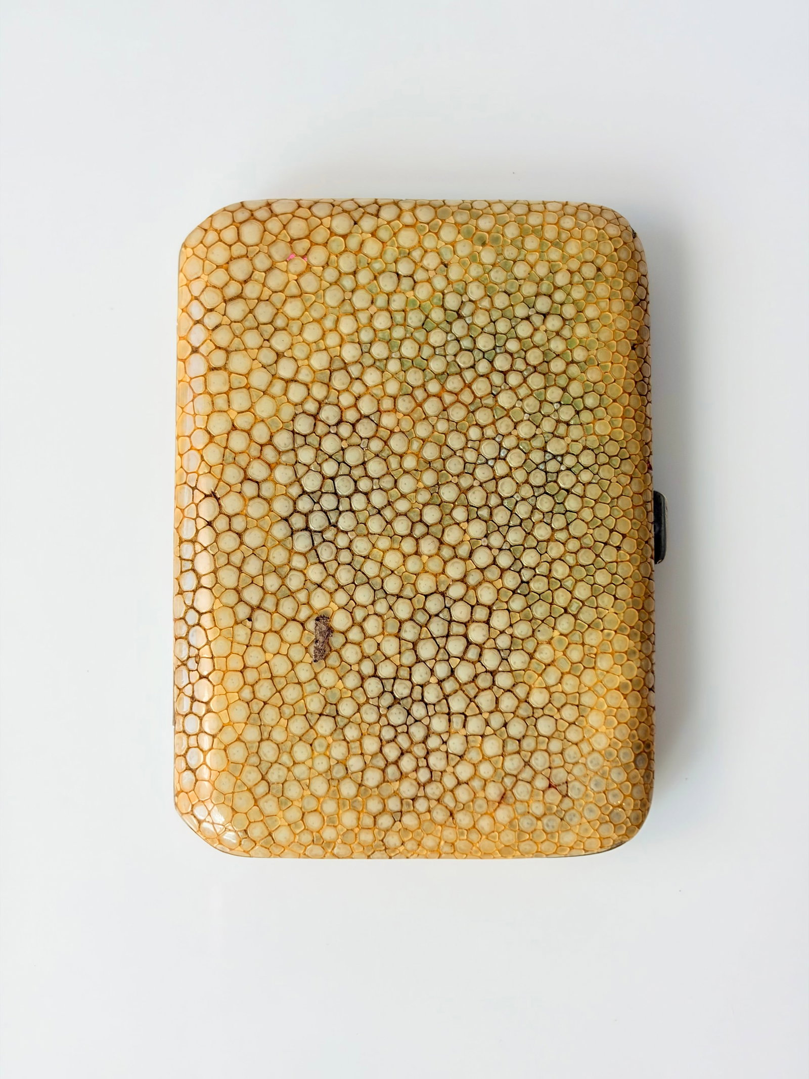 SHAGREEN CIGARETTE CASE (1 of 4)