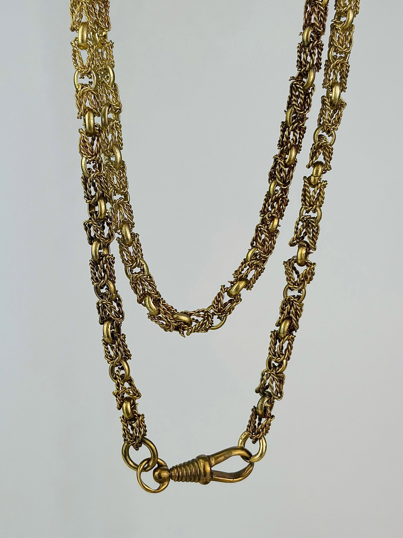 antique fancy link longguard necklace with oversized dogclip (1 of 5)