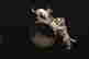 item-3308203=4