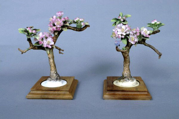Pair of Doughty Crabapples