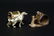 134: Two Victorian Figural Dog Napkin Rings