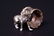 134: Two Victorian Figural Dog Napkin Rings - 2