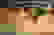 item-7252021=5