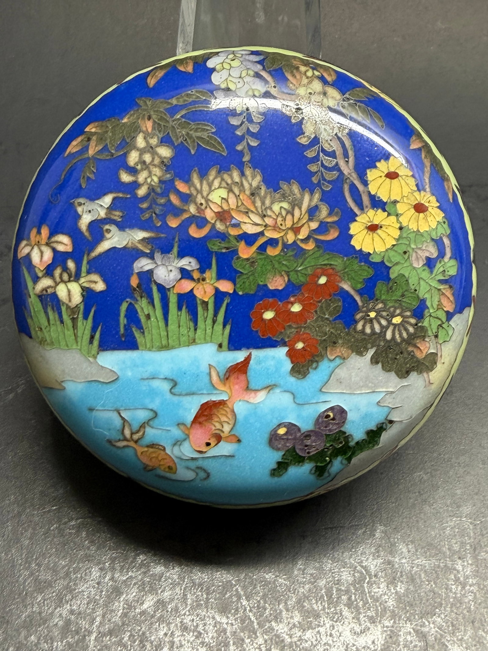 Japanese Meiji Period Cloisonne Enamel Kogo with aquatic / Floral scene: This beautiful Kogo is quite interesting as it incorporates Fish swimming in the water with stunning colorful flowers and even birds flying through the wisteria. 1 3/4"tall by just under 3" in diame