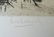 11392: J.FRIEDLAENDER H.Signed Etching Homer - 3