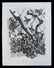 11651: PICASSO PABLO PICASSO Original Etching 1936 Span - 2