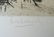 11370: J.FRIEDLAENDER H.Signed Etching Homer - 3