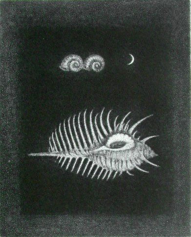TORU IWAYA H.Signed Mezzotint Japanese 1976: TORU IWAYA b. 1936 born 1936 (Japanese) Title: Clams / Coquillages, 1976 Technique: Original Hand Signed and Numbered Mezzotint on BFK Rives Vellum paper. Paper Size: 33 x 25 cm / 13 x 9.8 in Plate Si