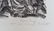 RAOUL DUFY Hand signed Lithograph French - 3