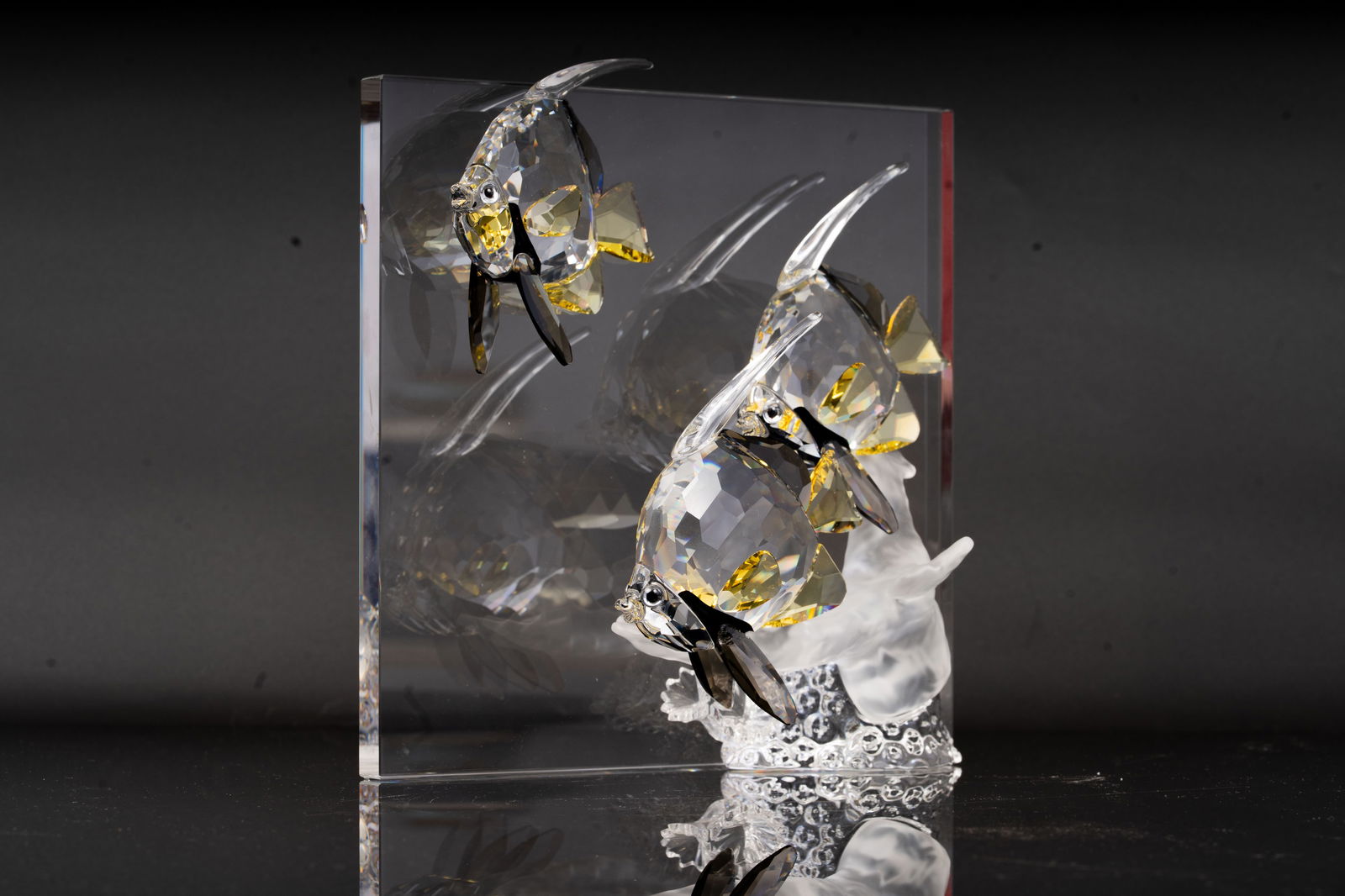 Swarovski Crystal Wonders of the Sea – Community Figurine with Plaque (1 of 5)