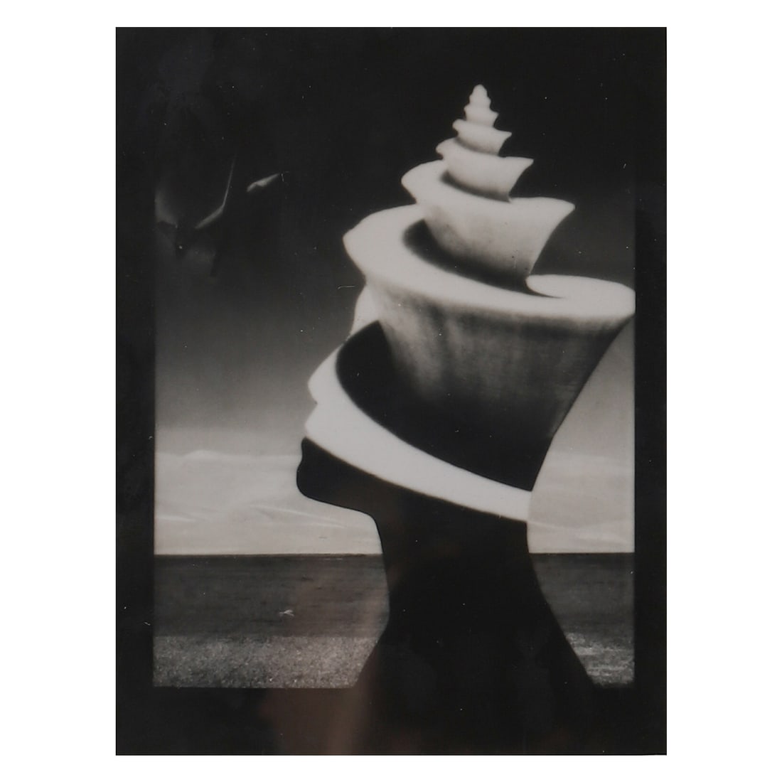 ETERNAL QUEEN, FROM THE COASTLINE VIEWS SERIES (1 of 3)