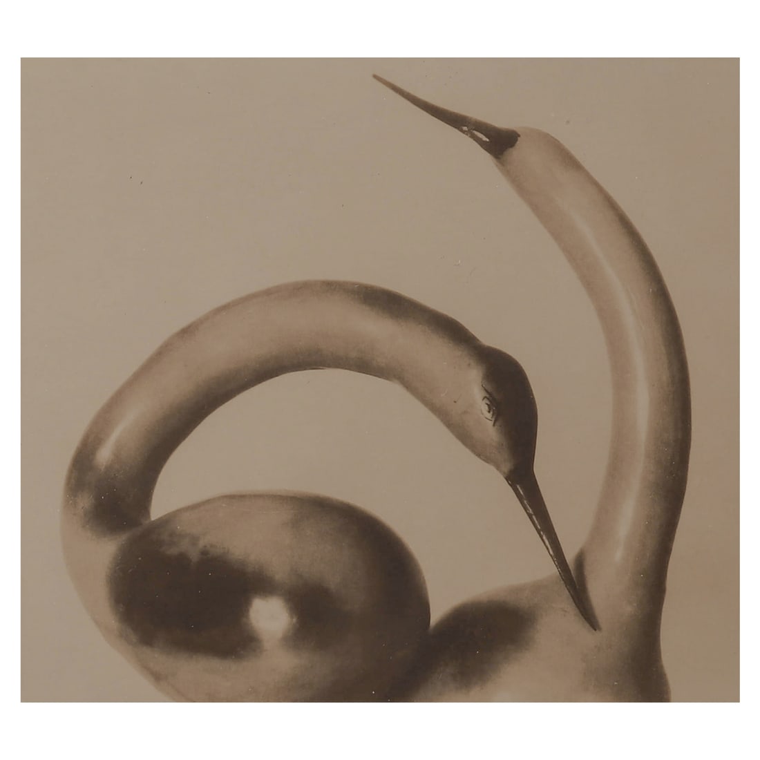 EDWARD WESTON (1886–1958)FLAMINGO NECK (CRANE FORM) (1 of 3)