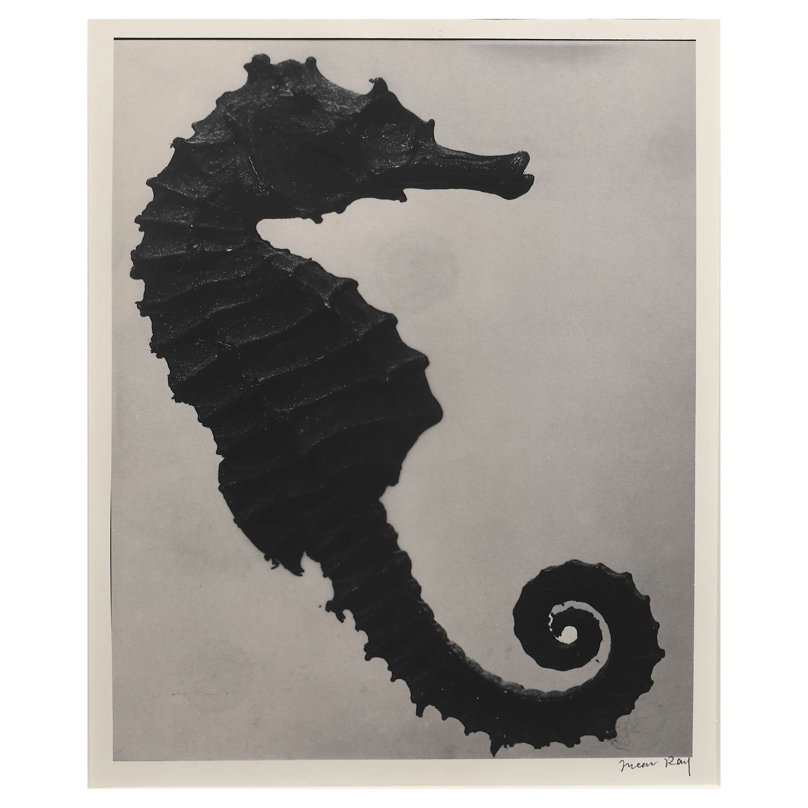 MAN RAY (1890–1976)HISTOIRE NATURELLE: Artist MAN RAY (1890–1976) Title HISTOIRE NATURELLE Material Gelatin silver print, mounted on board Signature Signed in pencil at the lower right,Stamped on the verso Dimensions Photograph 9 × 11 1