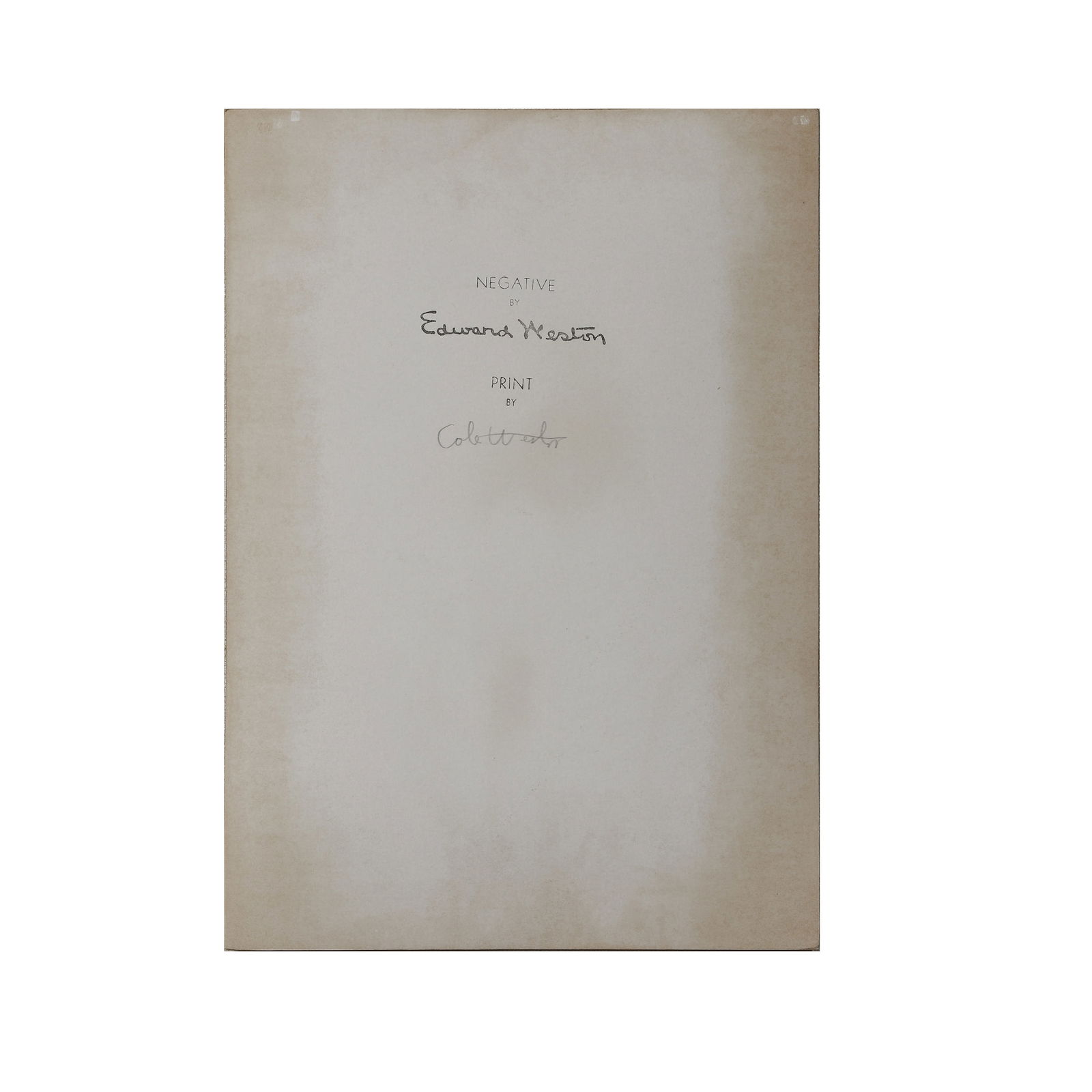 EDWARD WESTON (1886–1958) SHELL - 4