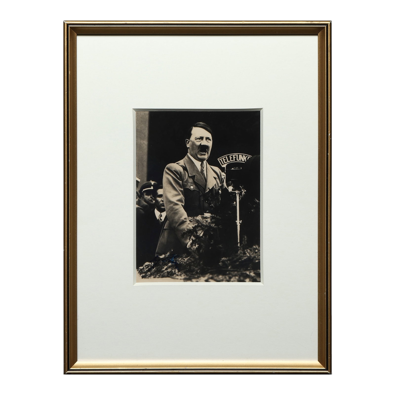 ADOLF HITLER SPEECH SCENE PHOTOGRAPH (1 of 3)