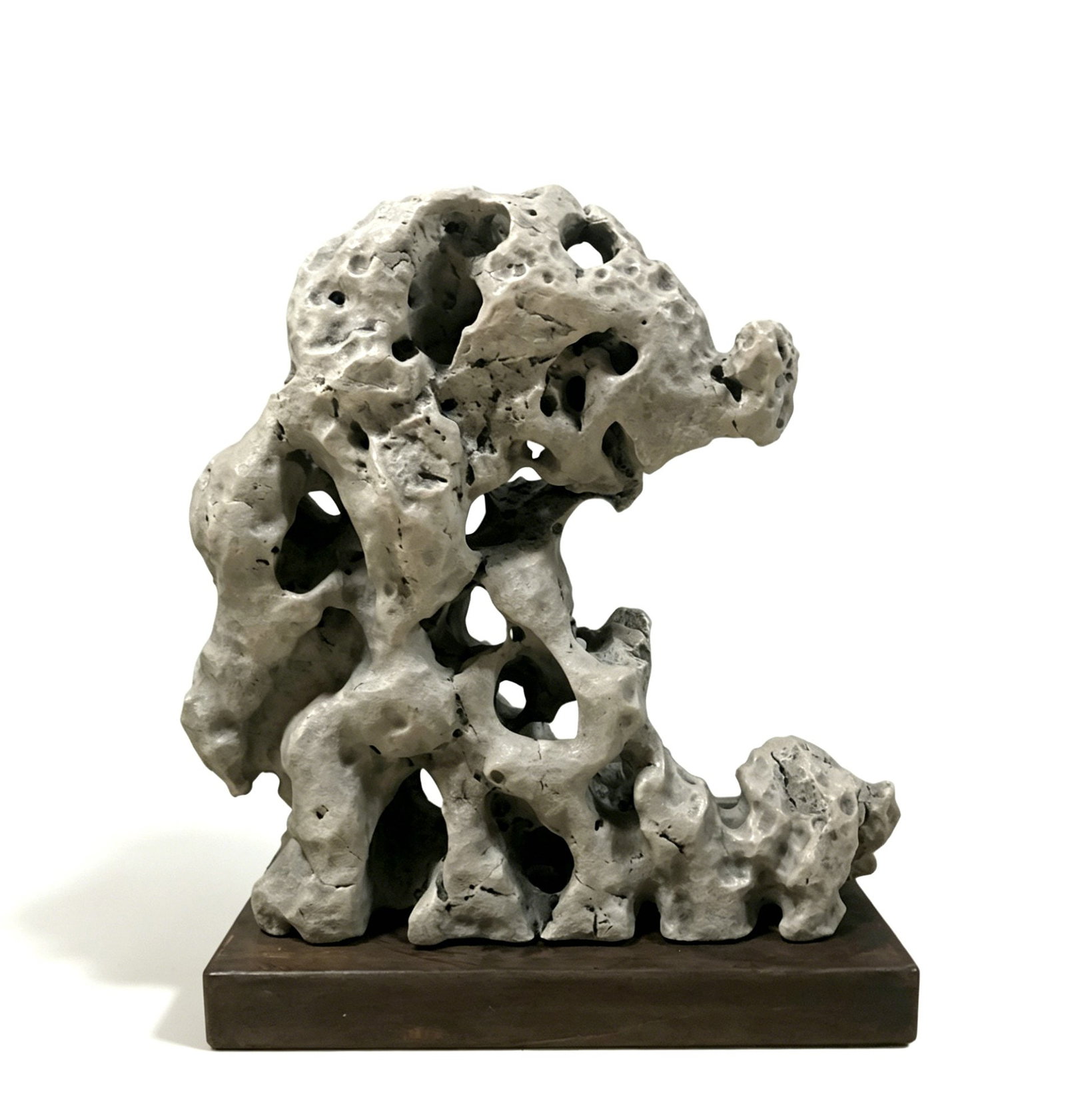 Taihu Stone Auspicious Beast Ornamental Stone: H 54cm, L 53cm, W 24cm