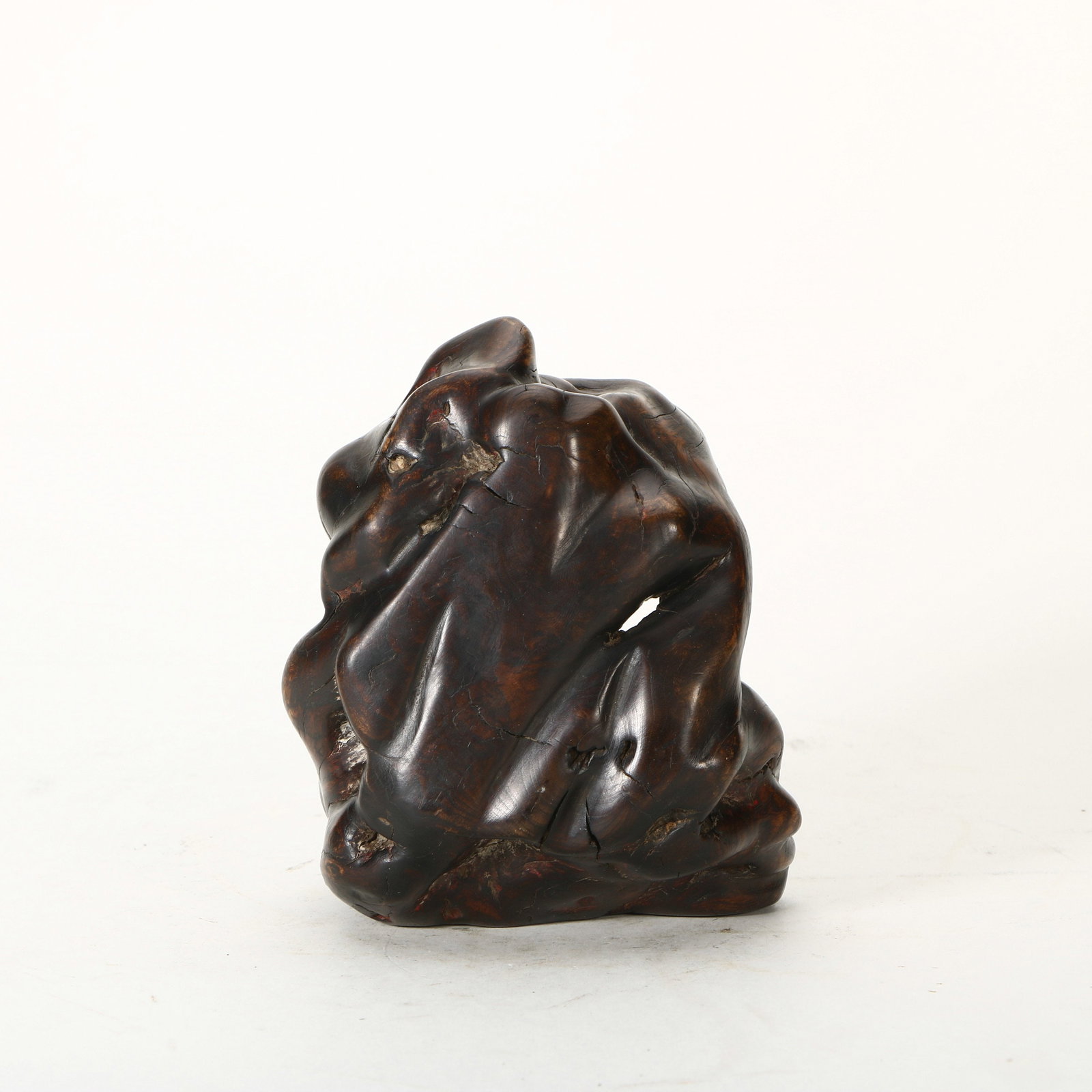 Tree Burl Shrine - 3