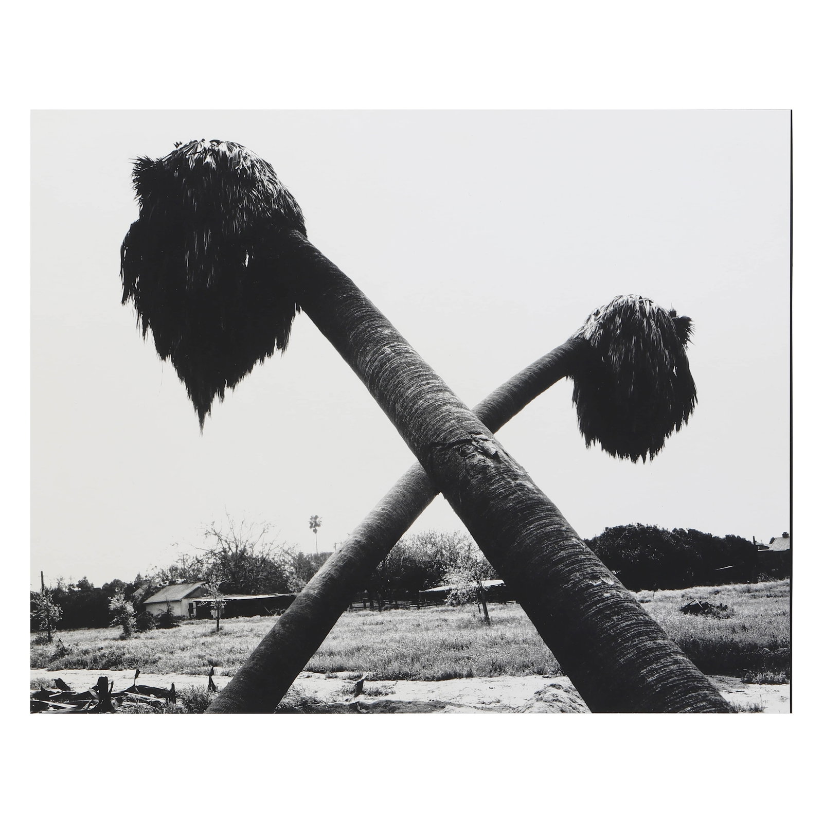 ROBERT ADAMS ( B. 1937)ONTARIO, CALIFORNIA: Artist ROBERT ADAMS ( B. 1937) Title ONTARIO, CALIFORNIA Medium Silver gelatin print, mounted on board Signature Pencil signed on verso Dimensions Photograph: 8 3/4 × 11 1/16 in. (22.3 × 28.1 cm) Fr