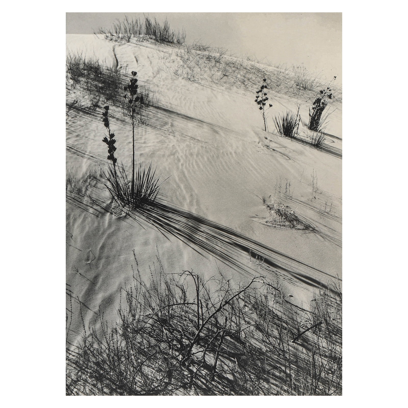 ANSEL ADAMS1902–1984), DUNES, HAZY SUN, WHITE SANDS, NEW MEXICO: Artist Ansel Adams Title Dunes, Hazy Sun, White Sands, New Mexico Medium Silver gelatin print, mounted on board Signature Signed in pencil, lower right recto Dimensions Image 6.69 × 9.25 in. (17 × 2