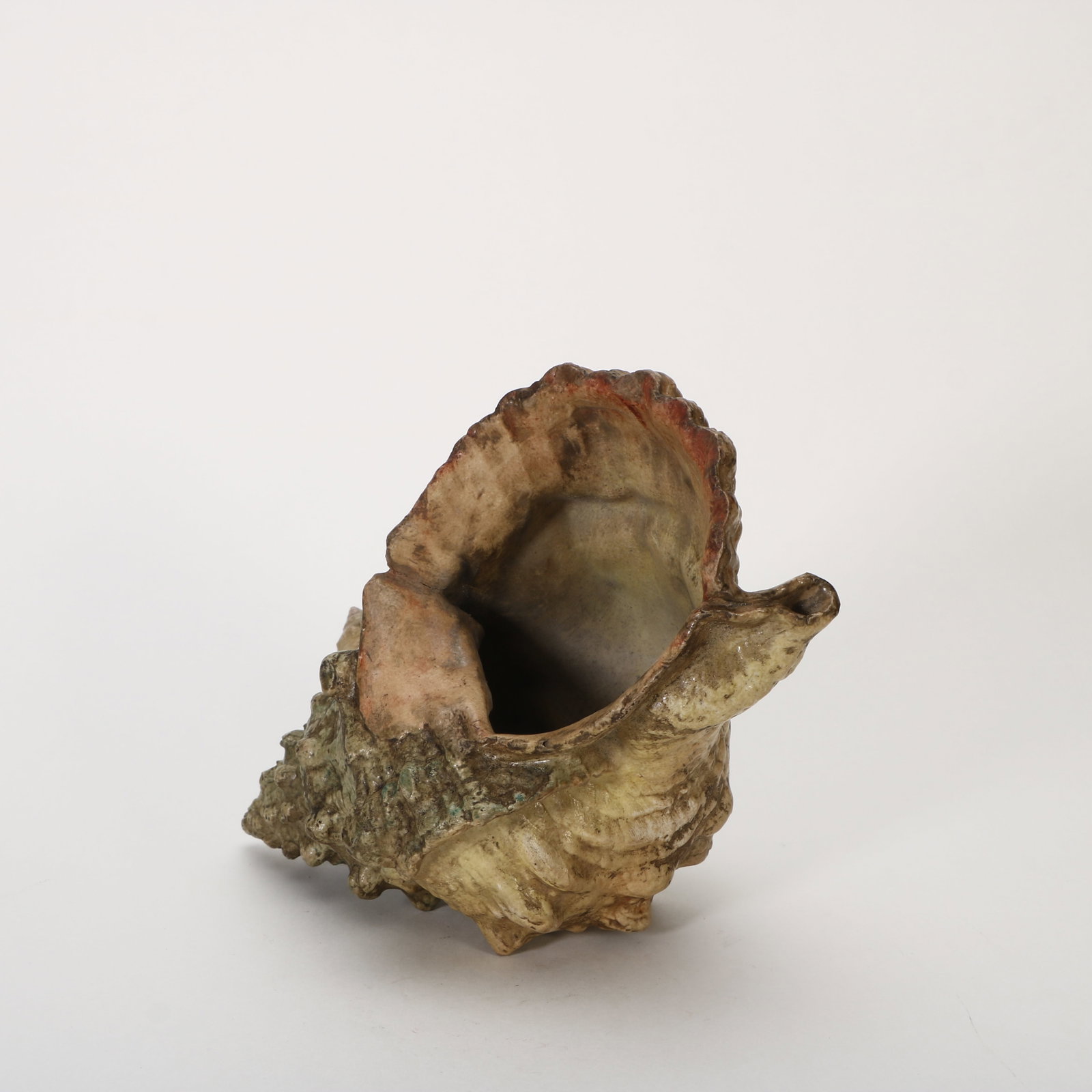 Bionic porcelain conch - 3