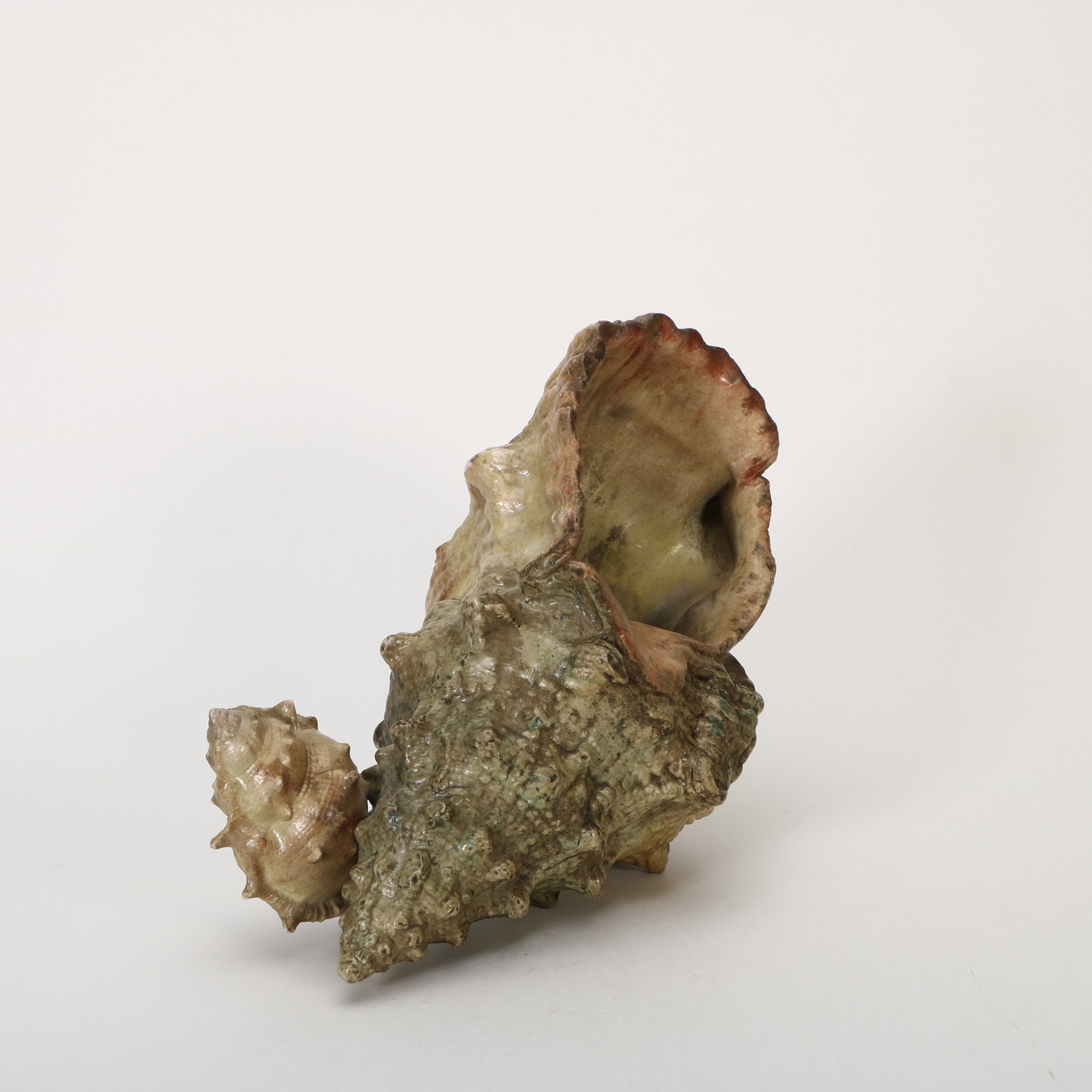 Bionic porcelain conch - 4