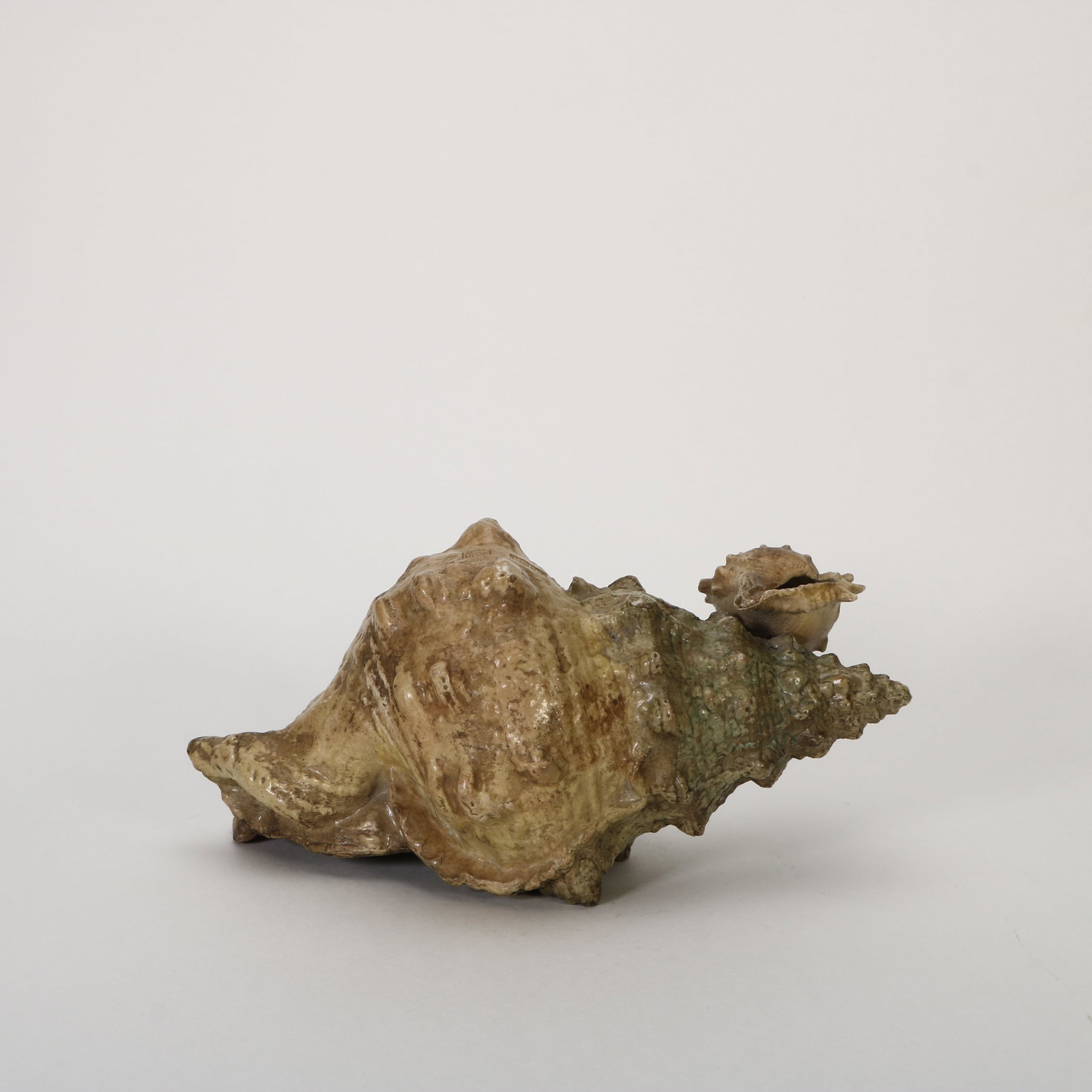 Bionic porcelain conch - 6