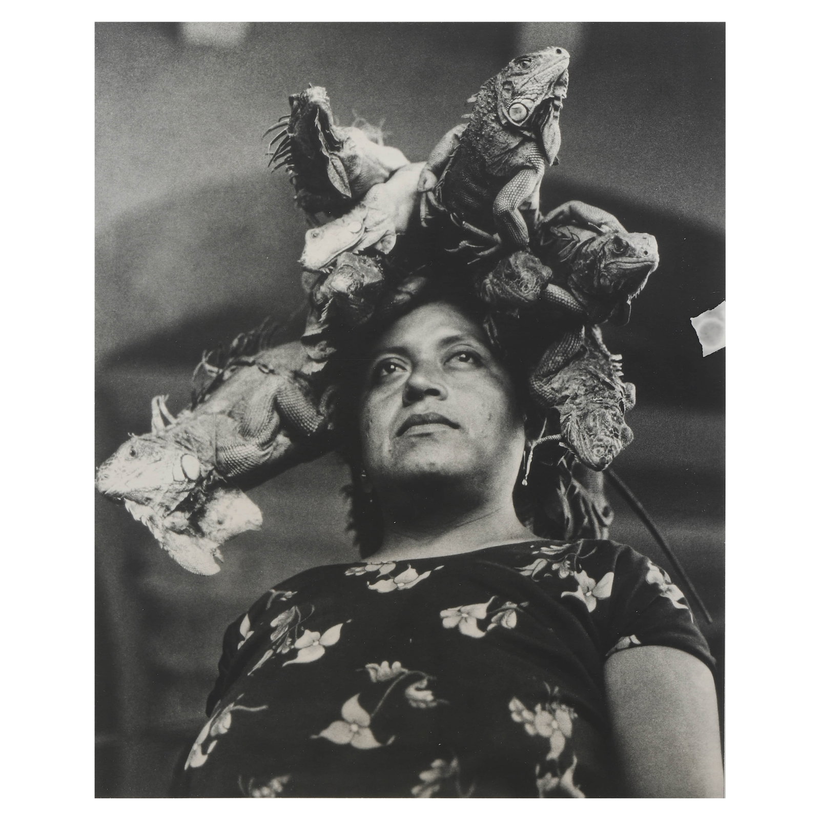 GRACIELA-ITURBIDE-(B.-1942)NUESTRA-SEÑORA-DE-LAS-IGUANAS: Artist GRACIELA ITURBIDE (B. 1942) Title NUESTRA SEÑORA DE LAS IGUANAS Medium Silver gelatin print, mounted on board Signature Pencil signed on verso Dimensions Photograph: 7 7/8 × 9 3/4 in. (20 × 