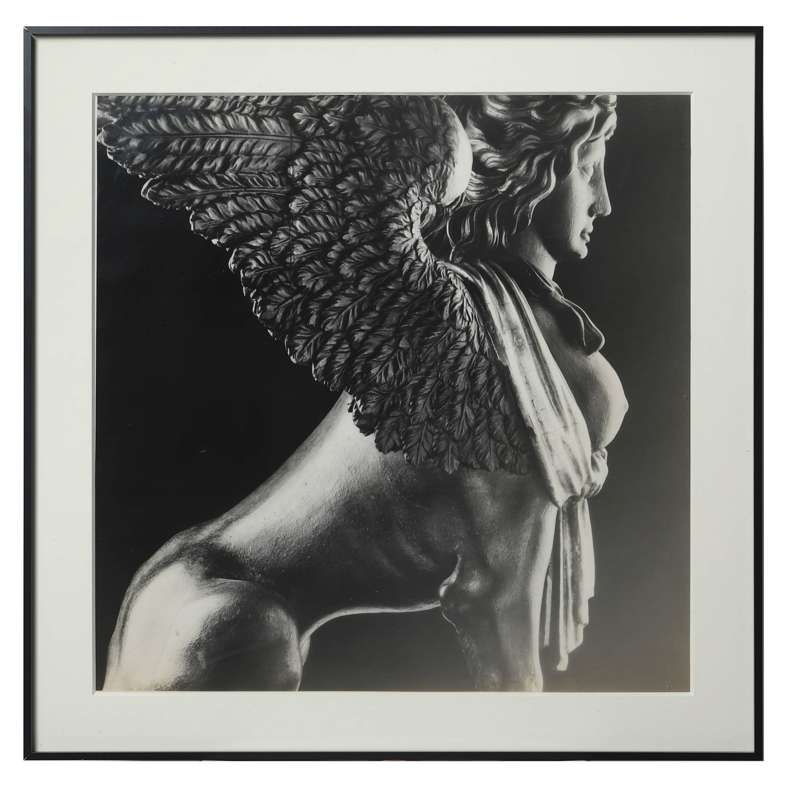 MAPPLETHORPE-(1946–1989)SPHINX - 3