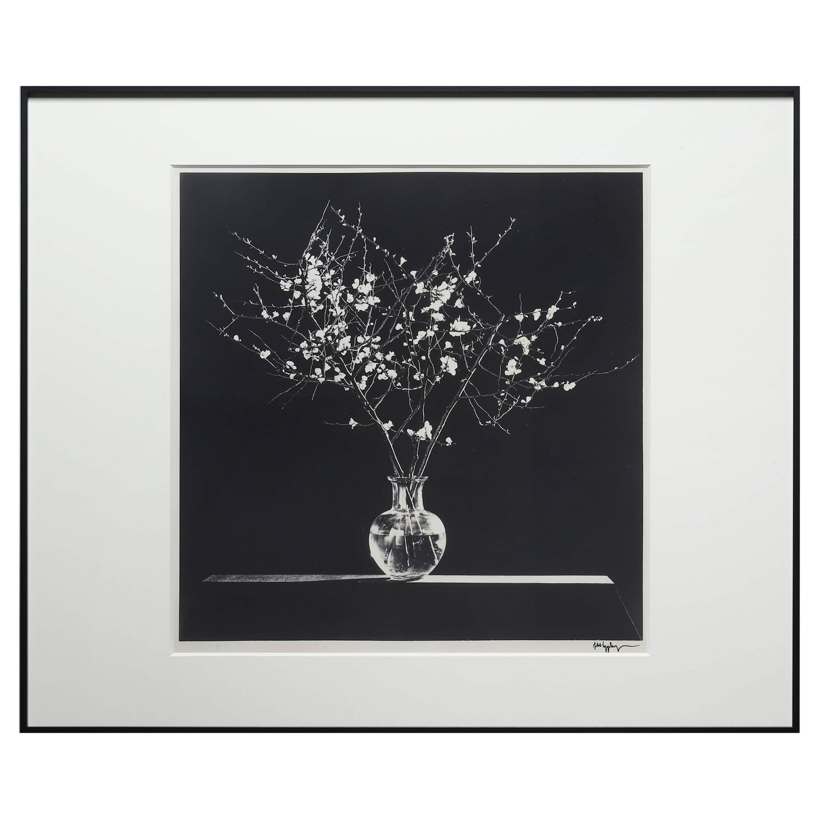 ROBERT-MAPPLETHORPE-(1946–1989)FLOWERS - 3