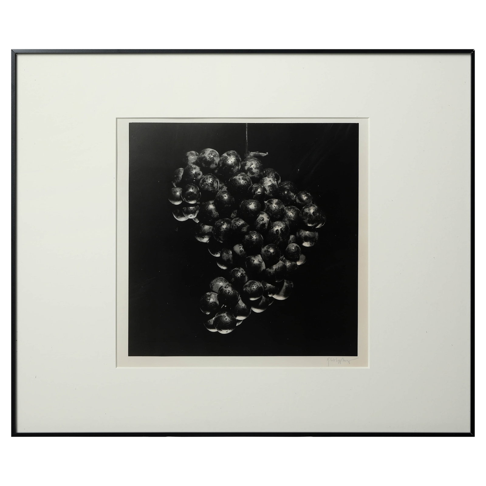 ROBERT-MAPPLETHORPE-(1946–1989)GRAPES - 3