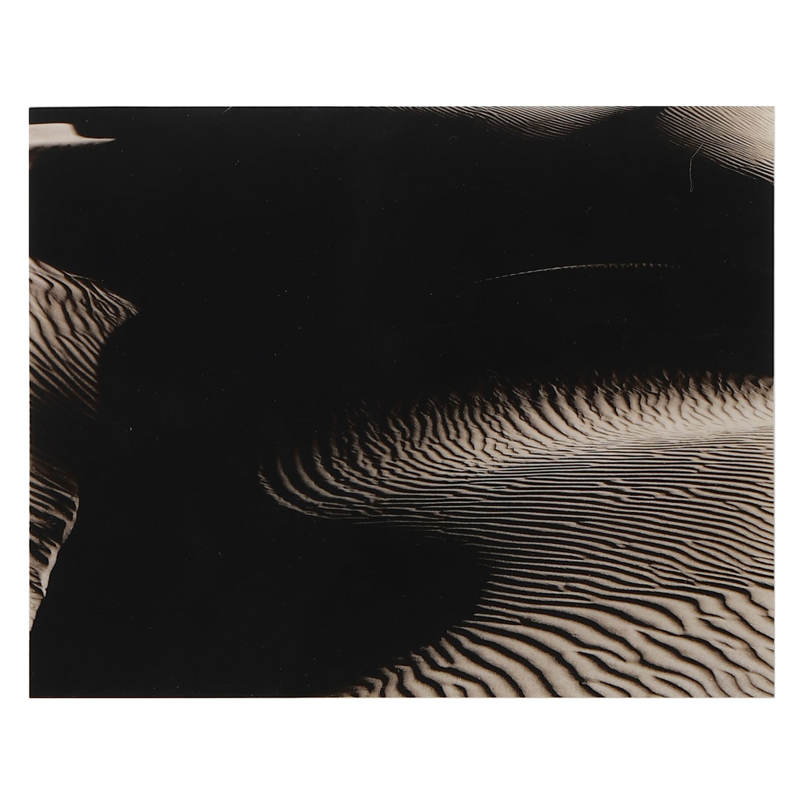 EDWARD-WESTON-(1886–1958)-SAND-DUNES,-OCEANO: Artist EDWARD WESTON Title: SAND DUNES, OCEANO Material: Gelatin silver print, mounted on board Signature: Signed in ink [please specify exact placement] Dimensions Photograph 7 9/16 × 9 1/2 in.