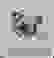 item-53206004=2