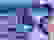 item-53206015=2