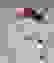 item-53206161=4