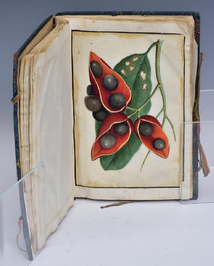 Chinese Botanical Book (1 of 5)
