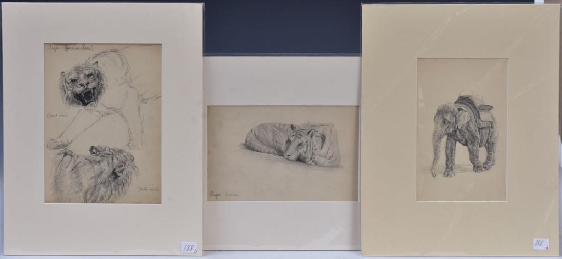 Marguerite Kirmse (1 of 3)