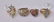 Four 14k Gold Rings