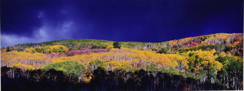 Christopher Burkett Photograph: Autumn Tempest Utah '05 12" x 32" (sight) hand painted ilfochrome pencil signed in the mat lower right