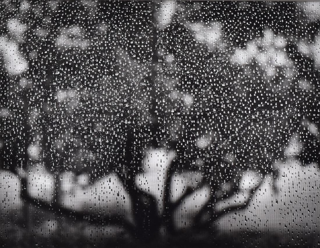 Ruth Bernhard (1 of 4)