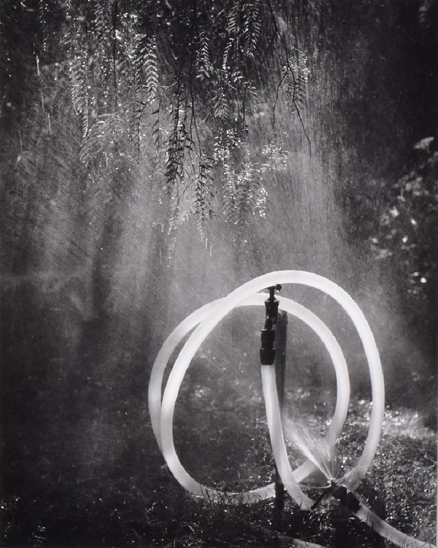 Ruth Bernhard: Garden Hose, 1968 13 1/2" x 10 1/2" gelatin silver print Signed on the front of the mount. Signed, titled and dated on the back of the mount SHIPPING: Buyer is responsible for arranging 3rd party ship
