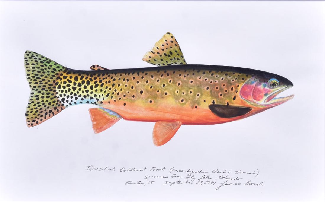 James Prosek (1 of 3)